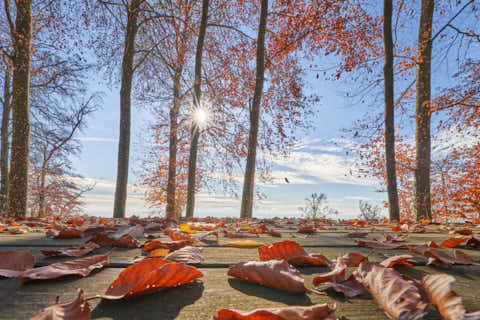 Gemeinde Julbach Landkreis Rottal-Inn Schlossberg Herbst (Dirschl Johann) Deutschland PAN